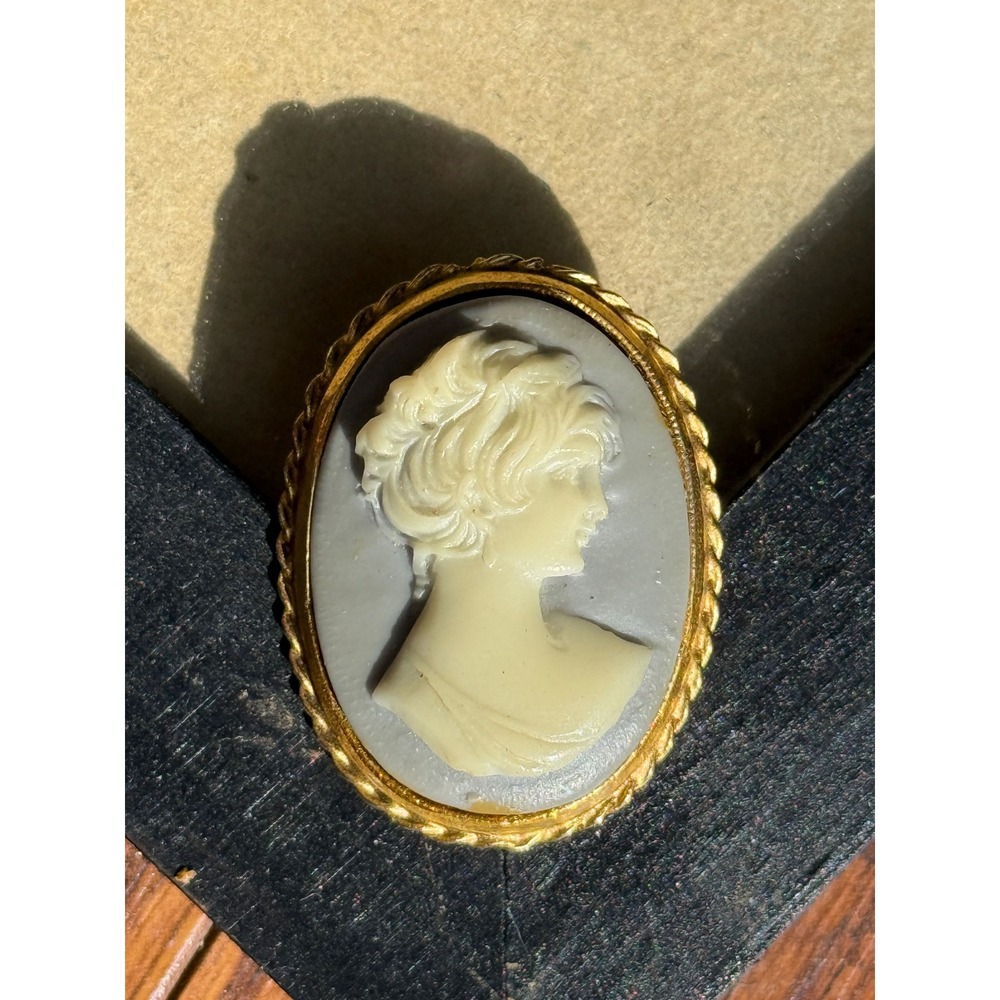 Vintage Costume Mock Cameo Brooch Set Gold Tone Grey + Black Resin Portrait Pins